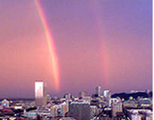 Portland Rainbows